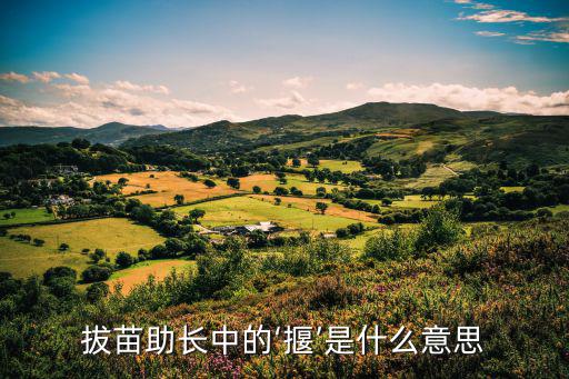 拔苗助長中的‘揠’是什么意思