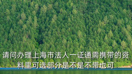 請(qǐng)問辦理上海市法人一證通需攜帶的資料里可選部分是不是不帶也可