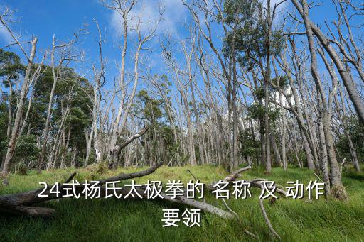 24式楊氏太極拳的 名稱 及 動(dòng)作要領(lǐng)