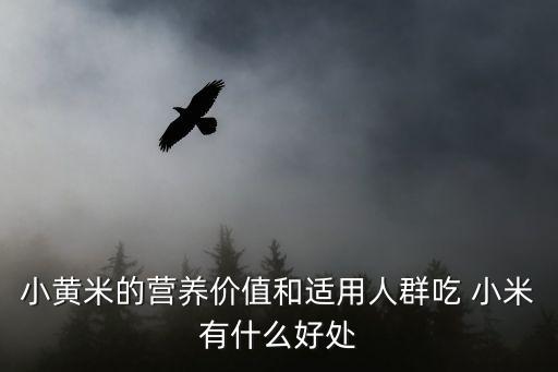 小黃米的營養(yǎng)價值和適用人群吃 小米有什么好處
