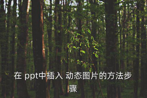 在 ppt中插入 動態圖片的方法步驟