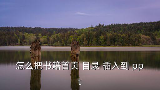 ppt插入目錄,如何制作文件夾?三種方式可以參考書(shū)籍目錄