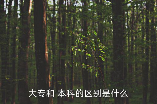 大專和 本科的區(qū)別是什么