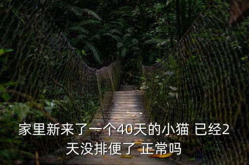 益氣丸,40天大小貓吃東西拉稀怎么辦?
