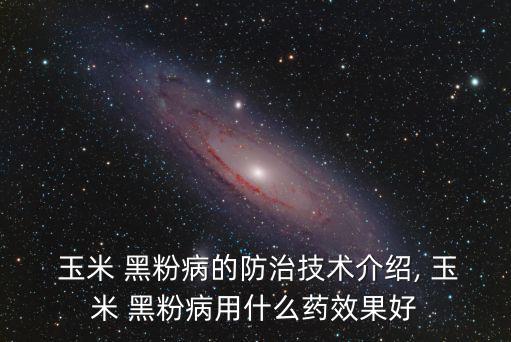 玉米黑粉病,春天加強(qiáng)農(nóng)業(yè)防治玉米黑粉病原菌屬擔(dān)子菌