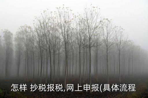 如何抄稅,堅毅向前預算案