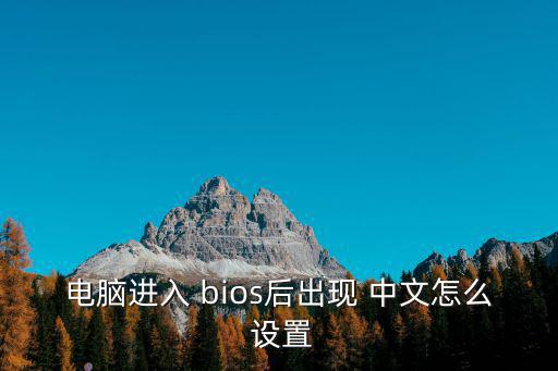 電腦進(jìn)入 bios后出現(xiàn) 中文怎么 設(shè)置