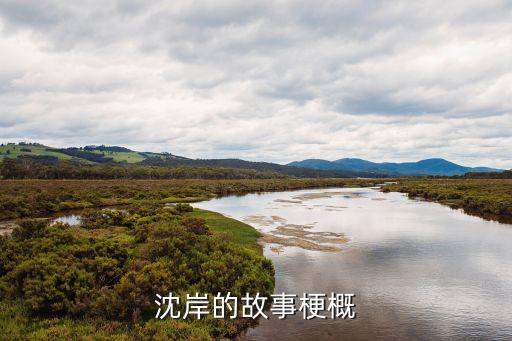 沈岸的故事梗概