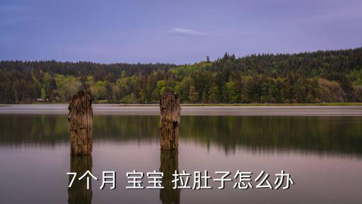 7個月 寶寶 拉肚子怎么辦