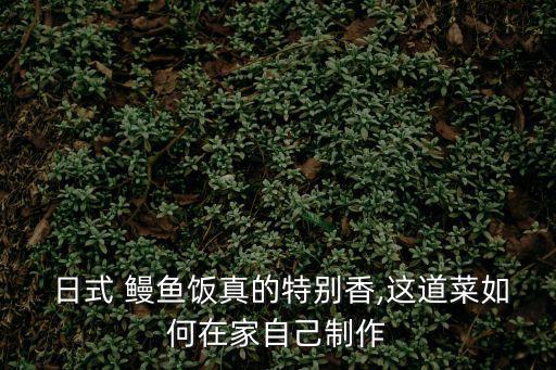  日式 鰻魚(yú)飯真的特別香,這道菜如何在家自己制作