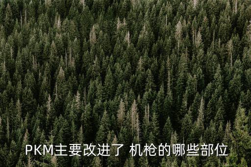 PK通用機(jī)槍,武裝在裝甲車上的坦克槍改裝成武裝車塔