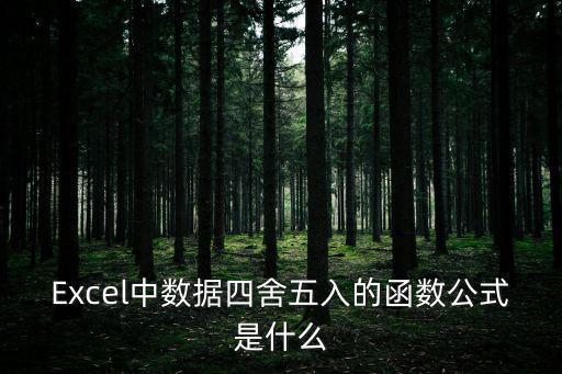Excel中數據四舍五入的函數公式是什么