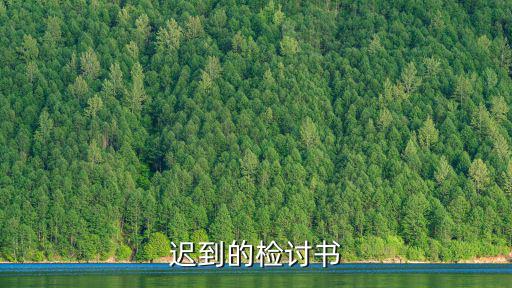 遲到的檢討書