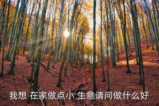 我想 在家做點(diǎn)小 生意請(qǐng)問(wèn)做什么好