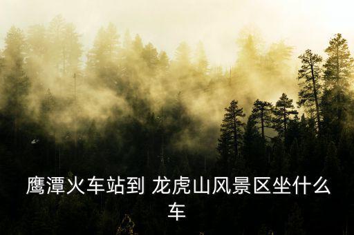  鷹潭火車站到 龍虎山風(fēng)景區(qū)坐什么車