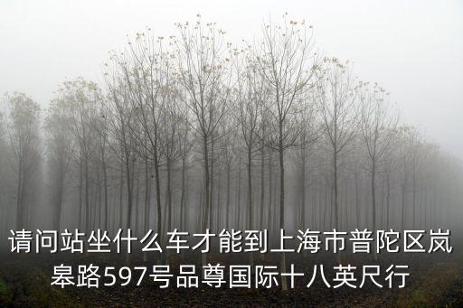 請問站坐什么車才能到上海市普陀區嵐皋路597號品尊國際十八英尺行