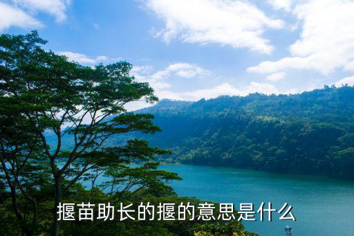 揠苗助長的揠的意思是什么