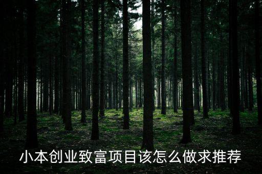 小本創(chuàng)業(yè)致富項(xiàng)目該怎么做求推薦