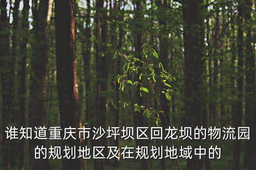 誰知道重慶市沙坪壩區回龍壩的物流園的規劃地區及在規劃地域中的