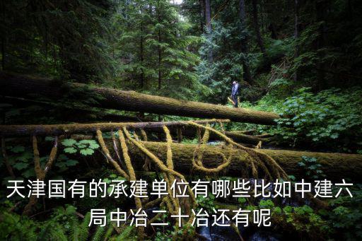 天津國有的承建單位有哪些比如中建六局中冶二十冶還有呢