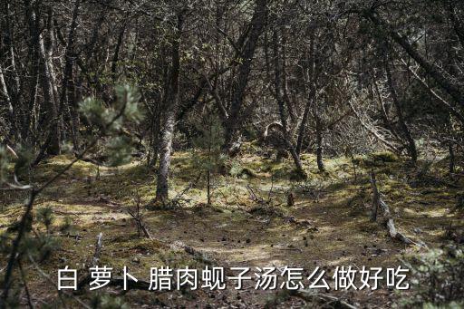 臘肉燉蘿卜,臘肉蘿卜湯怎么做好吃又營養!