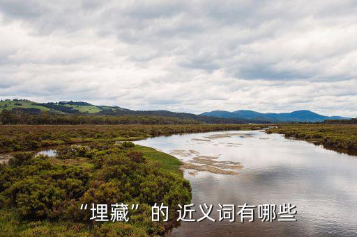 藏的近義詞,時間如何靜悄悄地從窗戶滑向庭院?