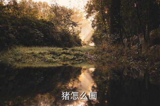 豬怎么畫