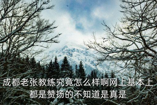 成都老張教練究竟怎么樣啊網(wǎng)上基本上都是贊揚的不知道是真是