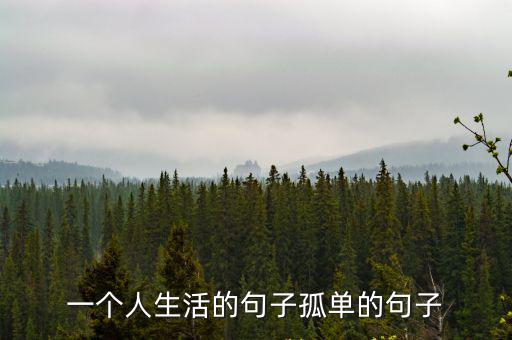 一個人生活的句子孤單的句子
