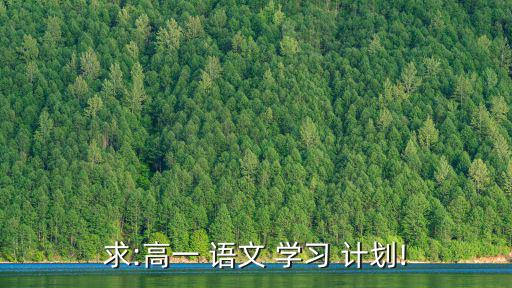 求:高一 語文 學習 計劃!