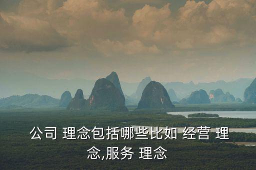 公司經(jīng)營理念,雷軍擔(dān)任小米董事長經(jīng)營理念像軍訓(xùn)