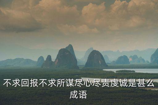 不求回報(bào)不求所謀盡心盡責(zé)虔誠是甚么成語