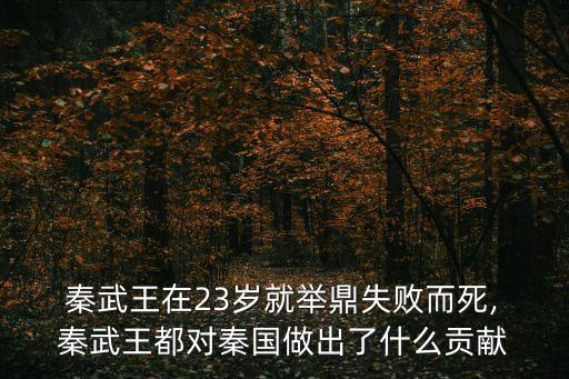  秦武王在23歲就舉鼎失敗而死, 秦武王都對秦國做出了什么貢獻