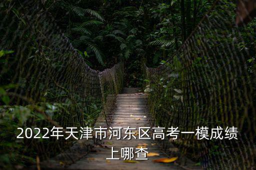 2022年天津市河東區高考一模成績上哪查