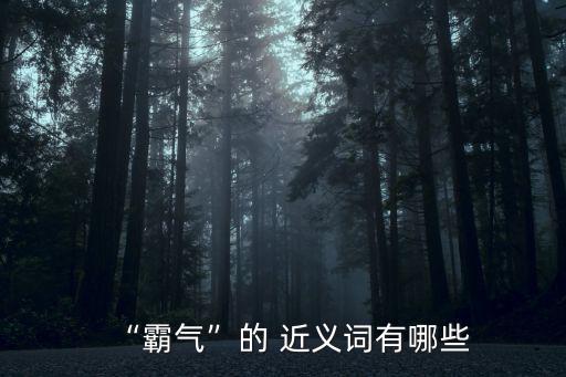 “霸氣”的 近義詞有哪些