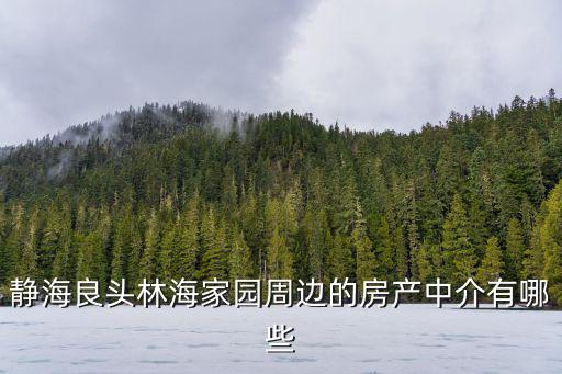 靜海良頭林海家園周邊的房產(chǎn)中介有哪些