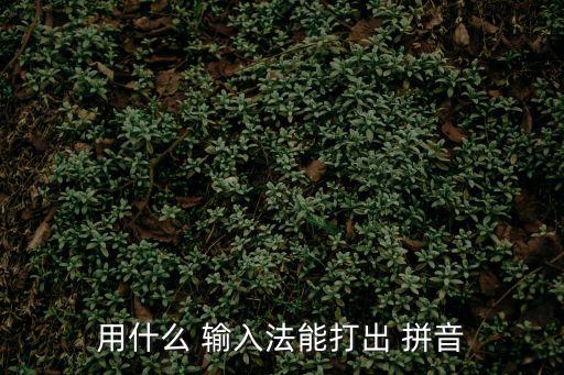 帶拼音的輸入法,怎么用搜狗輸入法?看這里!