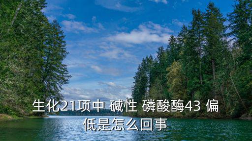 堿性磷酸酶偏低是什么意思