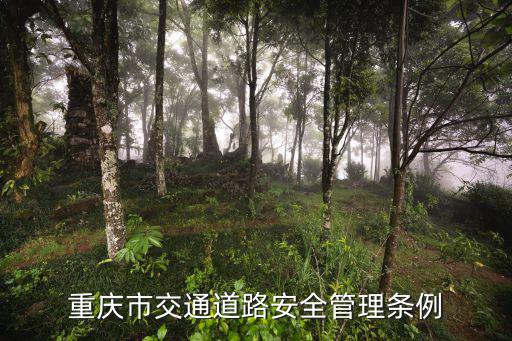 重慶市交巡警管理條例，重慶市交通道路安全管理條例