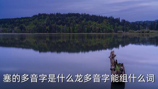 塞的多音字是什么龍多音字能組什么詞