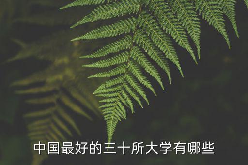 中國最好的三十所大學有哪些