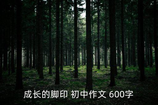 成長的腳印 初中作文 600字