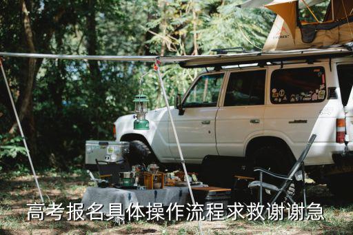 高考報(bào)名具體操作流程求救謝謝急