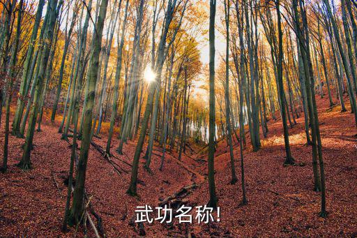 六合刀,《九陰真經》武學博大精深