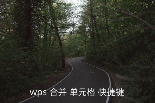 wps 合并 單元格 快捷鍵