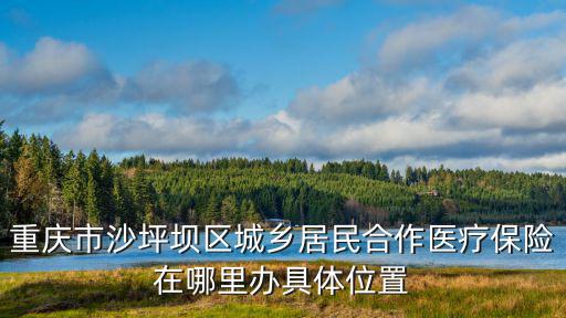 重慶市沙坪壩區城鄉居民合作醫療保險在哪里辦具體位置