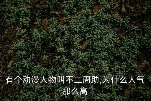 有個(gè)動(dòng)漫人物叫不二周助,為什么人氣那么高