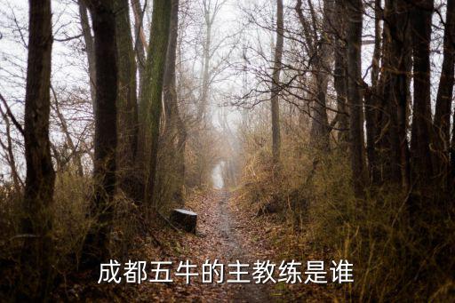 成都五牛的主教練是誰