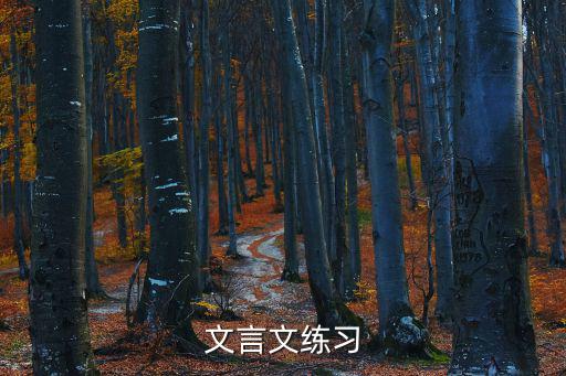 文言文練習，文言文 習題