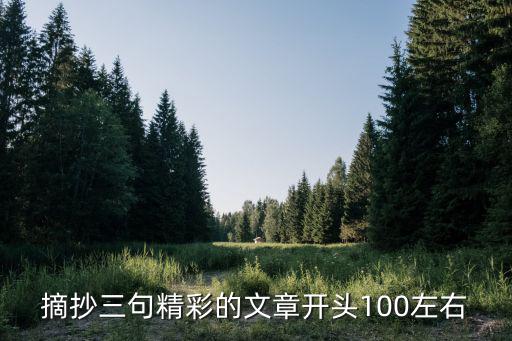優(yōu)美開頭摘抄，摘抄三句精彩的文章開頭100左右
